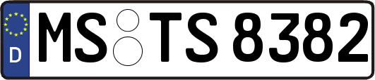 MS-TS8382