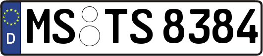 MS-TS8384