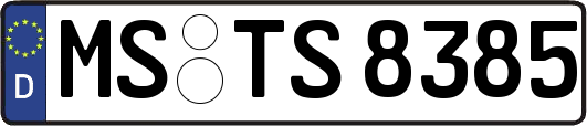 MS-TS8385