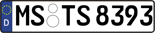MS-TS8393