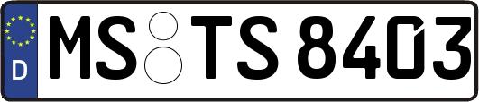 MS-TS8403