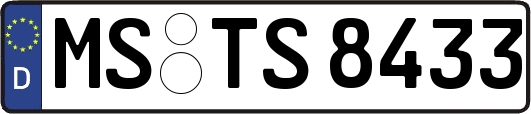MS-TS8433