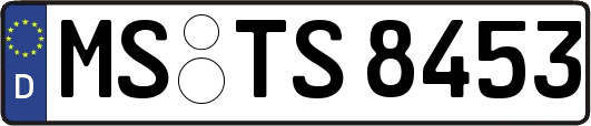 MS-TS8453