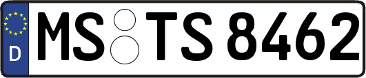 MS-TS8462