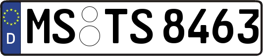 MS-TS8463