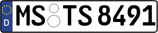 MS-TS8491