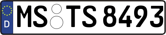 MS-TS8493