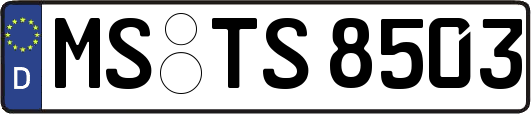 MS-TS8503