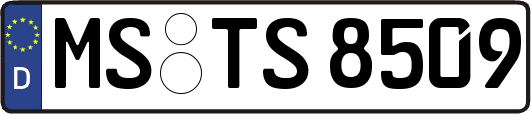 MS-TS8509