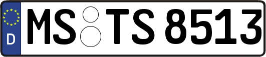 MS-TS8513