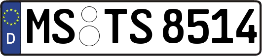 MS-TS8514