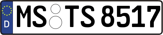 MS-TS8517