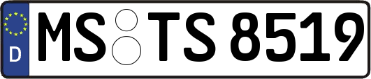 MS-TS8519