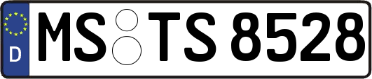 MS-TS8528