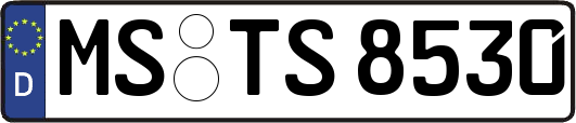 MS-TS8530