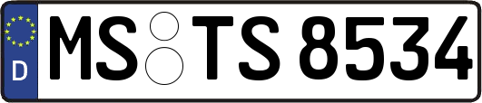 MS-TS8534