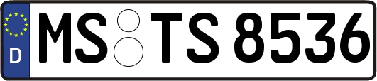 MS-TS8536