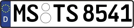 MS-TS8541