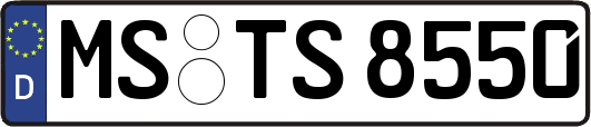 MS-TS8550