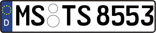 MS-TS8553