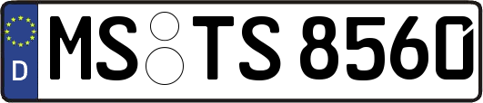 MS-TS8560