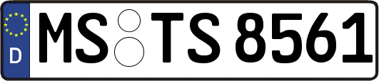 MS-TS8561
