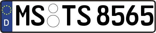 MS-TS8565
