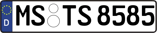 MS-TS8585