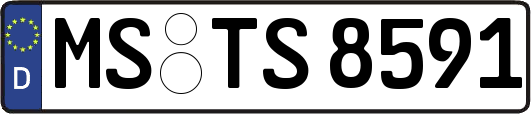 MS-TS8591