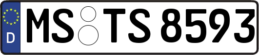 MS-TS8593