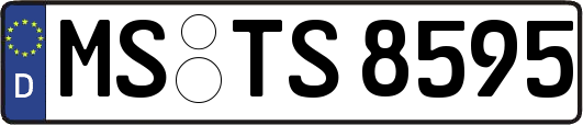 MS-TS8595