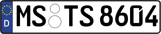 MS-TS8604