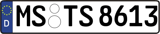 MS-TS8613
