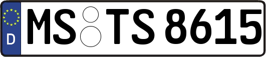 MS-TS8615