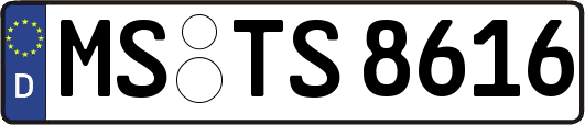 MS-TS8616