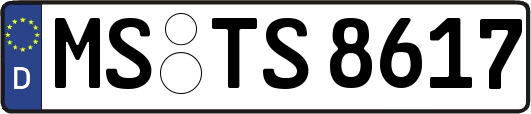 MS-TS8617