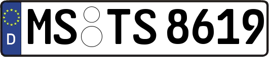 MS-TS8619