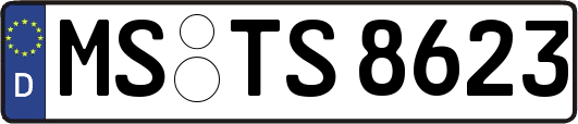 MS-TS8623