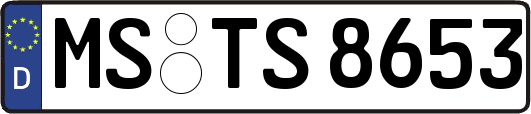 MS-TS8653