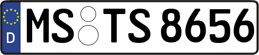 MS-TS8656