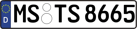 MS-TS8665