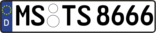 MS-TS8666