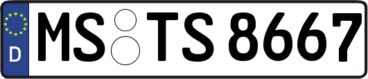 MS-TS8667