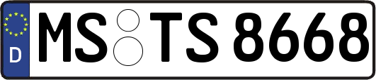 MS-TS8668