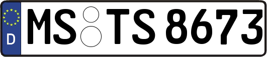 MS-TS8673