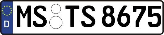 MS-TS8675