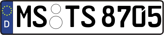 MS-TS8705
