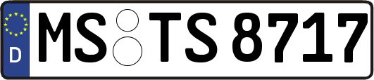 MS-TS8717