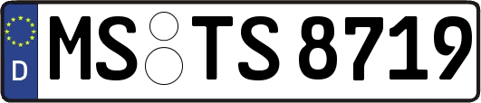 MS-TS8719