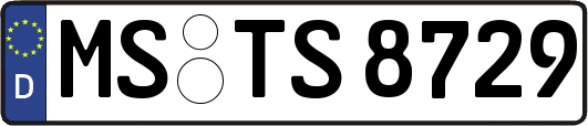 MS-TS8729